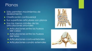 Planas
 Sólo permiten movimientos de
deslizamiento
 Clasificación controversial
 Sus superficies articulares son planas
 Son las menos móviles de las
articulaciones sinoviales
 Articulaciones entre los huesos
del carpo
 Articulaciones entre los huesos
del tarso
 Articulaciones costovertebrales
 Articulaciones condro esternales
 