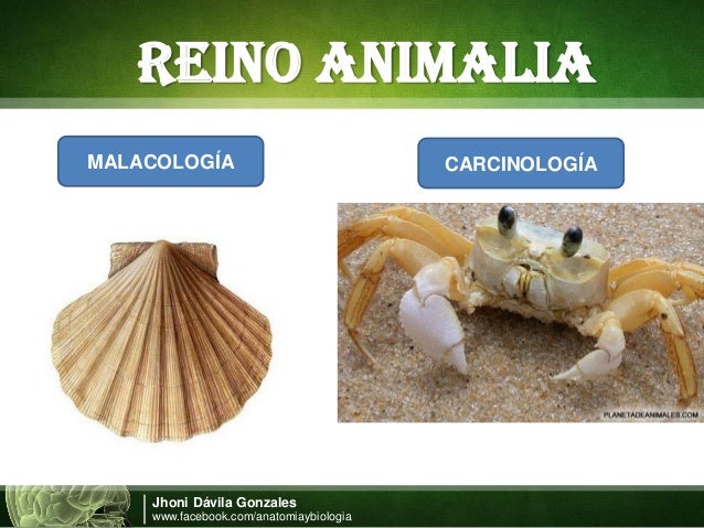 GENERALIDADES DE BIOLOGÍA