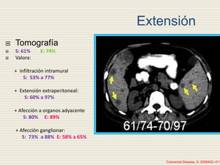 Extensión
 Colonoscopia
 Estandard de oro
 S 96-E 98
 Diagnóstica y
terapeútica
 PET
 Metastasis
 Recurrencia
 Cam...
