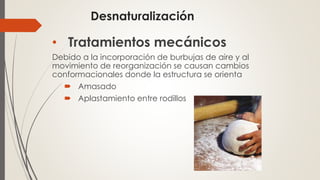 Desnaturalización
• Tratamientos mecánicos
Debido a la incorporación de burbujas de aire y al
movimiento de reorganización se causan cambios
conformacionales donde la estructura se orienta
 Amasado
 Aplastamiento entre rodillos
 