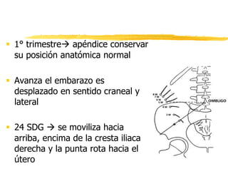 Cuadro clínico
• Dolor abdominal de predominio en
cuadrante inferior derecho
 Cólico epigastrio o periumbilical y termin...
