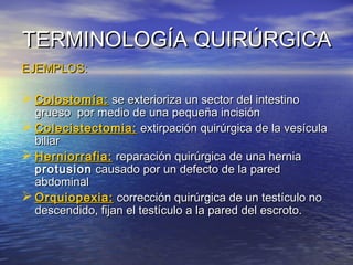 TERMINOLOGÍA QUIRÚRGICATERMINOLOGÍA QUIRÚRGICA
EJEMPLOS:EJEMPLOS:
 Colostomía:Colostomía: se exterioriza un sector del intestinose exterioriza un sector del intestino
grueso por medio de una pequeña incisióngrueso por medio de una pequeña incisión
 Colecistectomia:Colecistectomia: extirpación quirúrgica de la vesículaextirpación quirúrgica de la vesícula
biliarbiliar
 Herniorrafia:Herniorrafia: reparación quirúrgica de una herniareparación quirúrgica de una hernia
protusionprotusion causado por un defecto de la paredcausado por un defecto de la pared
abdominalabdominal
 Orquiopexia:Orquiopexia: corrección quirúrgica de un testículo nocorrección quirúrgica de un testículo no
descendido, fijan el testículo a la pared del escroto.descendido, fijan el testículo a la pared del escroto.
 