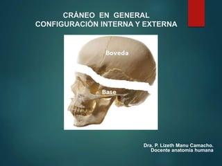 CRÁNEO EN GENERAL
CONFIGURACIÓN INTERNA Y EXTERNA
Dra. P. Lizeth Manu Camacho.
Docente anatomía humana
 