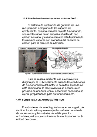 1.9.4. Válvula de emisiones evaporativas – cánister EVAP
El sistema de ventilación da garantía de una
recuperación apropiada de los vapores de
combustible. Cuando el motor no está funcionando,
son recolectados en un deposito abastecido con
carbón activado, y cuando el motor esta funcionando,
los mismos vapores son drenados del cánister de
carbón para el colector de admisión.
Figura 1.22 Válvula de emisiones evaporativas- cánister (EVAP)
Esto se realiza mediante una electroválvula
dirigida por el ECM solamente cuando las condiciones
de funcionamiento del motor lo permiten. Cuando no
está alimentada, la electroválvula se encuentra en
posición de apertura, con el encendido conectado se
cierra, preparándose para su funcionamiento.
1.10. SUBSISTEMA DE AUTODIAGNÓSTICO
El subsistema de autodiagnóstico es el encargado de
verificar los circuitos que manejan las señales de entrada
de los sensores y las señales de salida para los
actuadotes, estos son continuamente monitoreados por la
unidad de control.
 