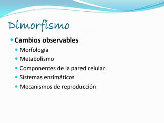 Dimorfismo
 Cambios observables
 Morfología
 Metabolismo
 Componentes de la pared celular
 Sistemas enzimáticos
 Mecanismos de reproducción
 