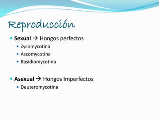 Reproducción
 Sexual  Hongos perfectos
 Zycomycotina
 Ascomycotina
 Basidiomycotina
 Asexual  Hongos Imperfectos
 Deuteromycotina
 