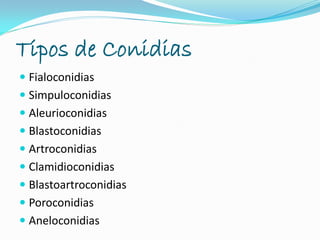 Tipos de Conidias
 Fialoconidias
 Simpuloconidias
 Aleurioconidias
 Blastoconidias
 Artroconidias
 Clamidioconidias
 Blastoartroconidias
 Poroconidias
 Aneloconidias
 