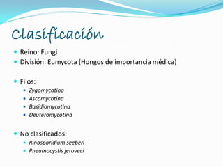 Clasificación
 Reino: Fungi
 División: Eumycota (Hongos de importancia médica)
 Filos:
 Zygomycotina
 Ascomycotina
 Basidiomycotina
 Deuteromycotina
 No clasificados:
 Rinosporidium seeberi
 Pneumocystis jeroveci
 