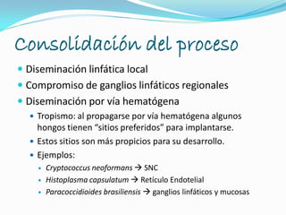 Consolidación del proceso
 Diseminación linfática local
 Compromiso de ganglios linfáticos regionales
 Diseminación por vía hematógena
 Tropismo: al propagarse por vía hematógena algunos
hongos tienen “sitios preferidos” para implantarse.
 Estos sitios son más propicios para su desarrollo.
 Ejemplos:
 Cryptococcus neoformans  SNC
 Histoplasma capsulatum  Retículo Endotelial
 Paracoccidioides brasiliensis  ganglios linfáticos y mucosas
 