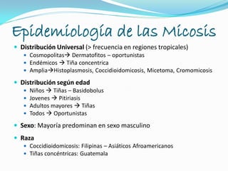 Epidemiología de las Micosis
 Distribución Universal (> frecuencia en regiones tropicales)
 Cosmopolitas Dermatofitos – oportunistas
 Endémicos  Tiña concentrica
 AmpliaHistoplasmosis, Coccidioidomicosis, Micetoma, Cromomicosis
 Distribución según edad
 Niños  Tiñas – Basidobolus
 Jovenes  Pitiriasis
 Adultos mayores  Tiñas
 Todos  Oportunistas
 Sexo: Mayoría predominan en sexo masculino
 Raza
 Coccidioidomicosis: Filipinas – Asiáticos Afroamericanos
 Tiñas concéntricas: Guatemala
 