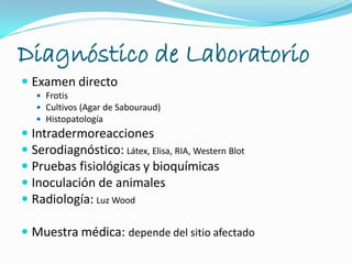 Diagnóstico de Laboratorio
 Examen directo
 Frotis
 Cultivos (Agar de Sabouraud)
 Histopatología
 Intradermoreacciones
 Serodiagnóstico: Látex, Elisa, RIA, Western Blot
 Pruebas fisiológicas y bioquímicas
 Inoculación de animales
 Radiología: Luz Wood
 Muestra médica: depende del sitio afectado
 