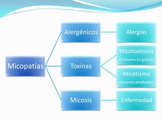 Micopatías
Alergénicos Alergias
Toxinas
Micotoxicosis
(Consumo en granos)
Micetismo
(Amanita phalloides)
Micosis Enfermedad
 
