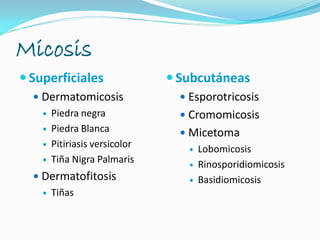 Micosis
 Superficiales
 Dermatomicosis
 Piedra negra
 Piedra Blanca
 Pitiriasis versicolor
 Tiña Nigra Palmaris
 Dermatofitosis
 Tiñas
 Subcutáneas
 Esporotricosis
 Cromomicosis
 Micetoma
 Lobomicosis
 Rinosporidiomicosis
 Basidiomicosis
 