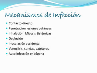 Mecanismos de Infección
 Contacto directo
 Penetración lesiones cutáneas
 Inhalación: Micosis Sistémicas
 Deglución
 Inoculación accidental
 Venoclisis, sondas, catéteres
 Auto infección endógena
 