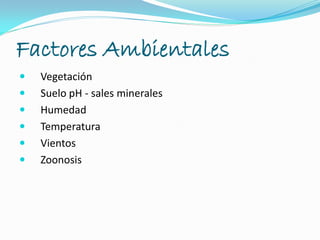 Factores Ambientales
 Vegetación
 Suelo pH - sales minerales
 Humedad
 Temperatura
 Vientos
 Zoonosis
 