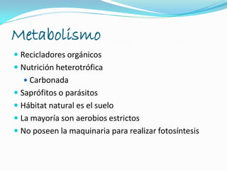 Metabolismo
 Recicladores orgánicos
 Nutrición heterotrófica
 Carbonada
 Saprófitos o parásitos
 Hábitat natural es el suelo
 La mayoría son aerobios estrictos
 No poseen la maquinaria para realizar fotosíntesis
 