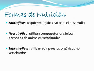 Formas de Nutrición
 Zootróficos: requieren tejido vivo para el desarrollo
 Necrotrófico: utilizan compuestos orgánicos
derivados de animales vertebrados
 Saprotróficos: utilizan compuestos orgánicos no
vertebrados
 