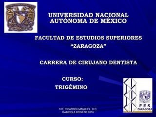 C.D. RICARDO GAMALIEL, C.D.C.D. RICARDO GAMALIEL, C.D.
GABRIELA DONATO 2016GABRIELA DONATO 2016
UNIVERSIDAD NACIONALUNIVERSIDAD NACIONAL
AUTÓNOMA DE MÉXICOAUTÓNOMA DE MÉXICO
FACULTAD DE ESTUDIOS SUPERIORESFACULTAD DE ESTUDIOS SUPERIORES
““ZARAGOZA”ZARAGOZA”
CARRERA DE CIRUJANO DENTISTACARRERA DE CIRUJANO DENTISTA
CURSO:CURSO:
TRIGÉMINOTRIGÉMINO
 