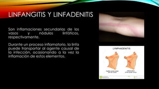 Linfangitis Reticular GENERALIDADES DE INERVACIÓN E IRRIGACIÓN 2.pptx