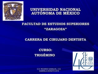 C.D. RICARDO GAMALIEL, C.D.C.D. RICARDO GAMALIEL, C.D.
GABRIELA DONATO 2016GABRIELA DONATO 2016
UNIVERSIDAD NACIONALUNIVERSIDAD NACIONAL
AUTÓNOMA DE MÉXICOAUTÓNOMA DE MÉXICO
FACULTAD DE ESTUDIOS SUPERIORESFACULTAD DE ESTUDIOS SUPERIORES
““ZARAGOZA”ZARAGOZA”
CARRERA DE CIRUJANO DENTISTACARRERA DE CIRUJANO DENTISTA
CURSO:CURSO:
TRIGÉMINOTRIGÉMINO
 