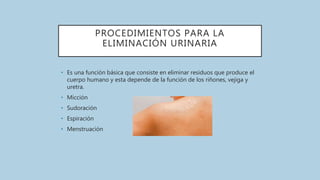 PROCEDIMIENTOS PARA LA
ELIMINACIÓN URINARIA
• Es una función básica que consiste en eliminar residuos que produce el
cuerpo humano y esta depende de la función de los riñones, vejiga y
uretra.
• Micción
• Sudoración
• Espiración
• Menstruación
 