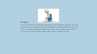 • Principios
• El recto recibe los materiales de desecho que quedan después de todo
el proceso de la digestión de los alimentos, constituyendo las heces. El
recto es la parte final del intestino grueso y tiene una longitud de 15
y de aquí las heces fecales salen del cuerpo a través del ano.
 