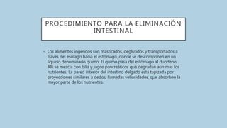PROCEDIMIENTO PARA LA ELIMINACIÓN
INTESTINAL
• Los alimentos ingeridos son masticados, deglutidos y transportados a
través del esófago hacia el estómago, donde se descomponen en un
líquido denominado quimo. El quimo pasa del estómago al duodeno.
Allí se mezcla con bilis y jugos pancreáticos que degradan aún más los
nutrientes. La pared interior del intestino delgado está tapizada por
proyecciones similares a dedos, llamadas vellosidades, que absorben la
mayor parte de los nutrientes.
 
