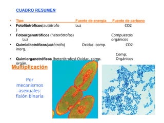 CUADRO RESUMEN
Fuente de energía Fuente de carbono
• Tipo
• Fotolitotróficos(autótrofo
)
Luz CO2
• Fotoorganotróficos (heterótrofos)
Luz
Compuestos
orgánicos
• Quimiolitotróficos(autótrofo) Oxidac. comp.
inorg.
• Quimiorganotróficos (heterótrofos) Oxidac. comp.
orgán.
CO2
Comp.
Orgánicos
Multiplicación
Por
mecanismos
asexuales:
fisión binaria
 