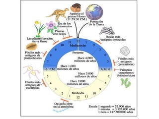 Microbiología. GENERALIDADES DE LA CELULA.pptx