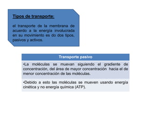 Tipos de transporte:
el transporte de la membrana de
acuerdo a la energía involucrada
en su movimiento es do dos tipos,
pasivos y activos.
Transporte pasivo
•La moléculas se muevan siguiendo el gradiente de
concentración, del área de mayor concentración hacia el de
menor concentración de las moléculas.
•Debido a esto las moléculas se mueven usando energía
cinética y no energía química (ATP).
 