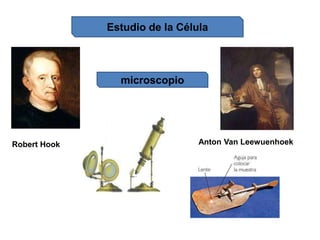 Estudio de la Célula
Robert Hook Anton Van Leewuenhoek
microscopio
 