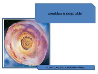 Generalidades de Biología Celular.
DOCENTE: JORGELEANDROROMERORAMIREZ
 