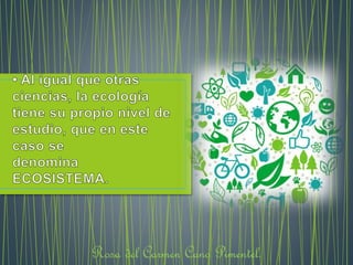 Rosa del Carmen Cano Pimentel. 
 