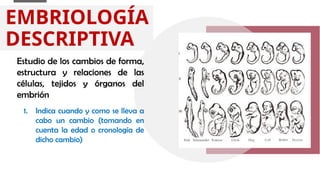 Comprehensive Overview of Embryology and Genetics in Medical Education ...