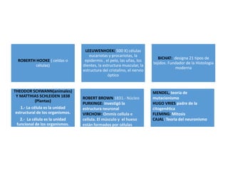 ROBERTH HOOKE ( celdas o
células)
LEEUWENHOEK( 500 X) células
eucariotas y procariotas, la
epidermis , el pelo, las uñas, los
dientes, la estructura muscular, la
estructura del cristalino, el nervio
óptico
BICHAT: designa 21 tipos de
tejidos. Fundador de la Histologia
moderna
THEODOR SCHWANN(animales)
Y MATTHIAS SCHLEIDEN 1838
(Plantas)
1.- La célula es la unidad
estructural de los organismos.
2.- La célula es la unidad
funcional de los organismos.
ROBERT BROWN 1831.- Núcleo
PURKINGE: investigó la
estructura neuronal
VIRCHOW: Ommis cellula e
cellula. El músculo y el hueso
están formados por células
MENDEL, teoría de
mutacionismo
HUGO VRIES padre de la
citogenética
FLEMING: Mitosis
CAJAL: Teoria del neuronismo
 