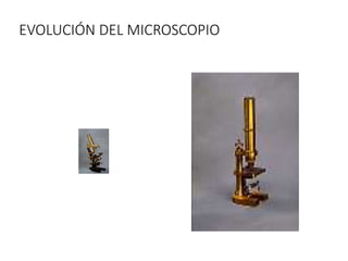 EVOLUCIÓN DEL MICROSCOPIO
 