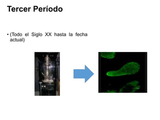Tercer Período
• (Todo el Siglo XX hasta la fecha
actual)
 