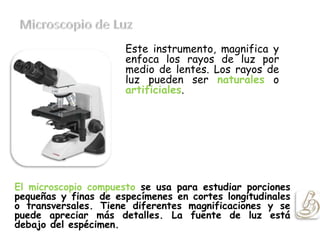 Este instrumento, magnifica y
enfoca los rayos de luz por
medio de lentes. Los rayos de
luz pueden ser naturales o
artificiales.
El microscopio compuesto se usa para estudiar porciones
pequeñas y finas de especímenes en cortes longitudinales
o transversales. Tiene diferentes magnificaciones y se
puede apreciar más detalles. La fuente de luz está
debajo del espécimen.
 