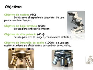Objetivos
Objetivo de rastreo (4X):
Se observa el especímen completo. Se usa
para encontrar imagen.
Objetivo de baja potencia (10x):
Se usa para enfocar la imagen
Objetivo de alta potencia (40x):
Se usa para ver la imagen, con mayores detalles.
Objetivo de inmersión de aceite (100x): Se usa con
aceite, el mismo se añade antes de cambiar de objetivo.
 