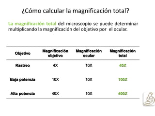 ¿Cómo calcular la magnificación total?
La magnificación total del microscopio se puede determinar
multiplicando la magnificación del objetivo por el ocular.
Objetivo
Magnificación
objetivo
Magnificación
ocular
Magnificación
total
Rastreo 4X 10X 40X
Baja potencia 10X 10X 100X
Alta potencia 40X 10X 400X
 
