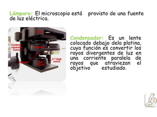 Lámpara: El microscopio está provisto de una fuente
de luz eléctrica.
Condensador: Es un lente
colocado debajo dela platina,
cuya función es convertir los
rayos divergentes de luz en
una corriente paralela de
rayos que atraviezan el
objetivo estudiado.
 