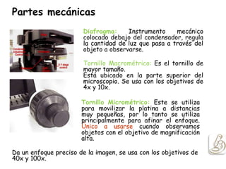 Partes mecánicas
Diafragma: Instrumento mecánico
colocado debajo del condensador, regula
la cantidad de luz que pasa a través del
objeto a observarse.
Tornillo Macrométrico: Es el tornillo de
mayor tamaño.
Está ubicado en la parte superior del
microscopio. Se usa con los objetivos de
4x y 10x.
Tornillo Micrométrico: Este se utiliza
para movilizar la platina a distancias
muy pequeñas, por lo tanto se utiliza
principalmente para afinar el enfoque.
Único a usarse cuando observamos
objetos con el objetivo de magnificación
alta.
Da un enfoque preciso de la imagen, se usa con los objetivos de
40x y 100x.
 