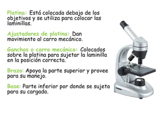 Platina: Está colocada debajo de los
objetivos y se utiliza para colocar las
laminillas.
Ajustadores de platina: Dan
movimiento al carro mecánico.
Ganchos o carro mecánico: Colocados
sobre la platina para sujetar la laminilla
en la posición correcta.
Brazo: Apoya la parte superior y provee
para su manejo.
Base: Parte inferior por donde se sujeta
para su cargado.
 