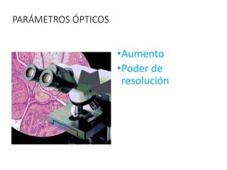 PARÁMETROS ÓPTICOS
•Aumento
•Poder de
resolución
 