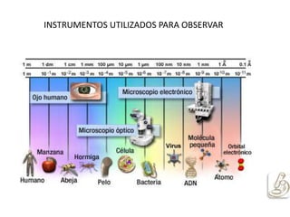 INSTRUMENTOS UTILIZADOS PARA OBSERVAR
 