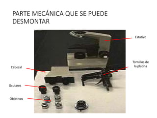 PARTE MECÁNICA QUE SE PUEDE
DESMONTAR
Estativo
Oculares
Objetivos
Cabezal
Tornillos de
la platina
 