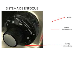SISTEMA DE ENFOQUE
Tornillo
micrométrico
Tornillo
macrométrico
Freno
 