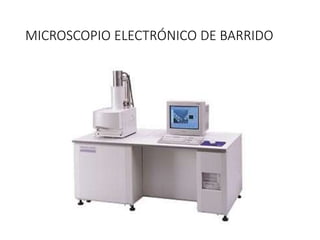 MICROSCOPIO ELECTRÓNICO DE BARRIDO
 