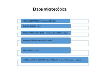 Etapa microscópica
HERMANOS JANSSEN ( Microscopio Simple)
GALILEO GALILEI( 1612)
MARCELO MALPIGHI( 1661)PADRE DE LA HISTOLOGIA Anatomia Microscópica – capilares
HERMANOS JANSSEN ( Microscopio Simple)
GALILEO GALILEI( 1612)
MARCELO MALPIGHI( 1628 – 1694) Anatomia Microscópica
 