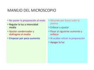 MANEJO DEL MICROSCOPIO
• No poner la preparación al revés
• Regular la luz a intensidad
media
• Ajustar condensador y
diafragma al medio
• Empezar por poco aumento
• Mirando por fuera subir la
platina
• Enfocar y ajustar
• Pasar al siguiente aumento y
enfocar
• Al acabar retirar la preparación
• Apagar la luz
 
